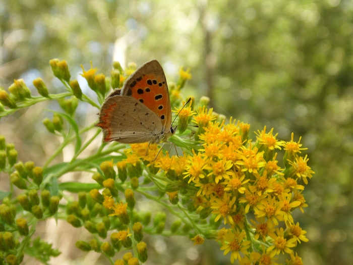 Parco del ticino 4-8-12